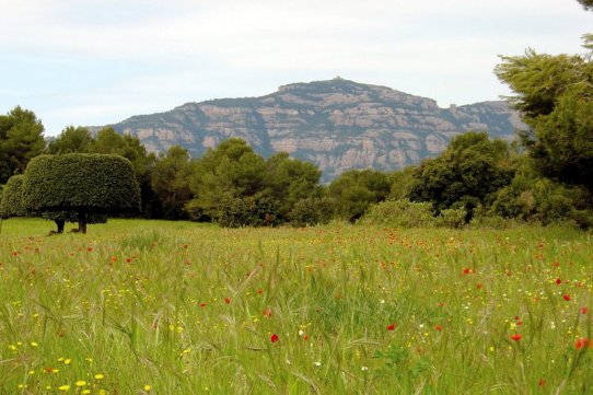 Vistes del Parc de Sant Llorenç des de Can Cadafalch, a mig camí entre Castellar i Sant Llorenç / Arxiu