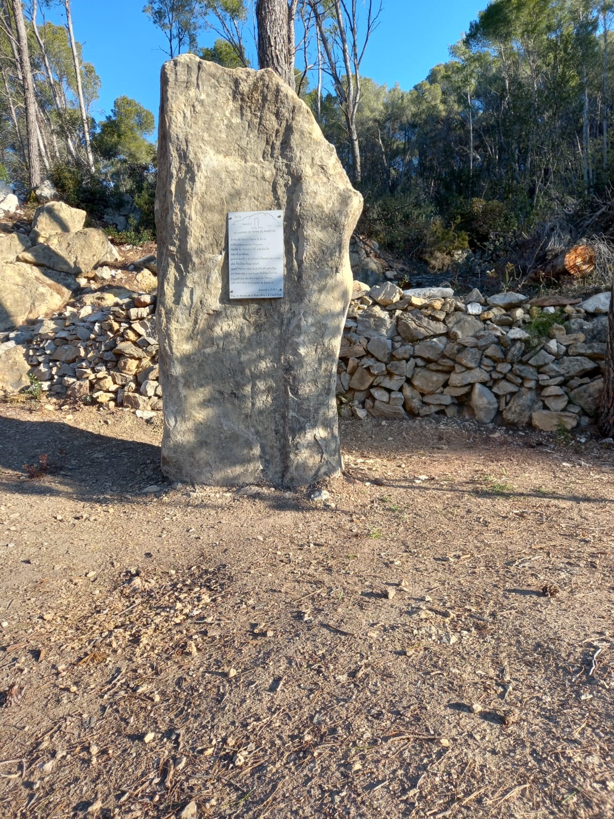 Fotografia del menhir del Grup de la Pedra Seca, dies abans de patir l'atac vandàlic. ||CEC