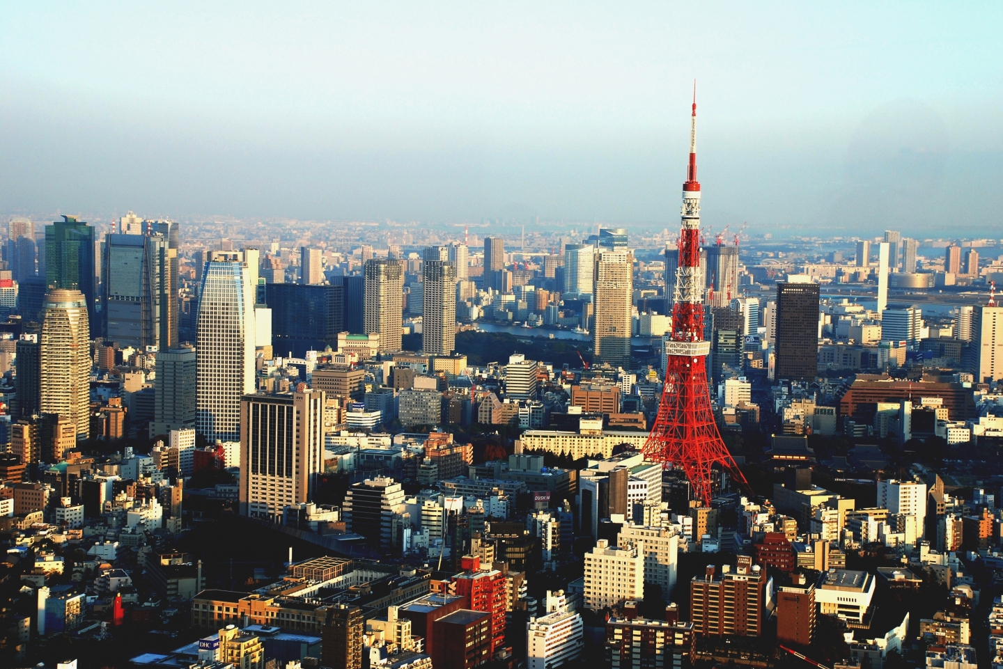 Tokyo Tower and surrounding area_1440x961