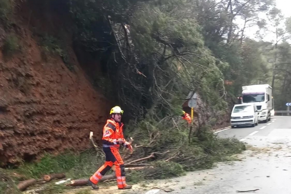 bomebrs arbre_950x634