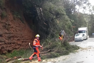 Els Bombers Voluntaris han retirat els arbres caiguts a la B-124 - CEDIDA