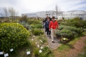 Visitant de la Fira de plantes del segle XXI, passegen pel jardí sense reg de Les Garberes || Q. Pascual