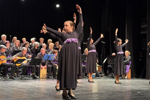 Un instant de l'espectacle Pasión Flamenca organitzat per la Casa d'Andalusia de Castellar ||J.G.